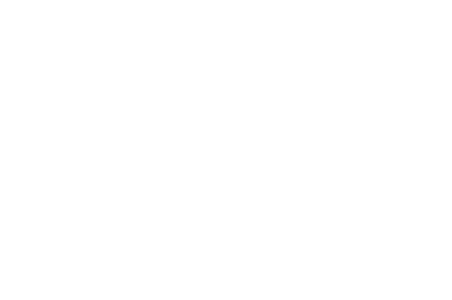 OFFICIAL SELECTION – Arpa International Film festival – 2020